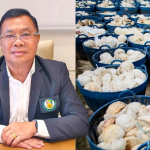 泰国橡胶业呼吁政府与中国协商！望免征橡胶进口税！