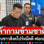 2名新加坡男子组织泰女从事跨境卖淫被捕！