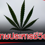 最高死刑！泰国21岁男子走私大麻入境马来西亚被捕！