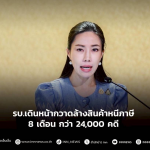 泰国政府公布打击逃税商品8个月战绩！