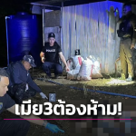 3女共侍一夫引悲剧！新老婆不愿做小欲逃婚，泰国男子怒杀妻后自杀