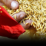 中国首批采购10万吨泰国大米，商业部敦促出口商加快春节假期前交货速度